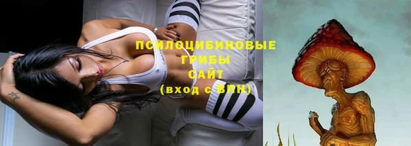 кокаин премиум Белокуриха