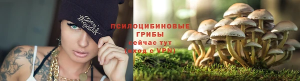 кокаин премиум Белокуриха