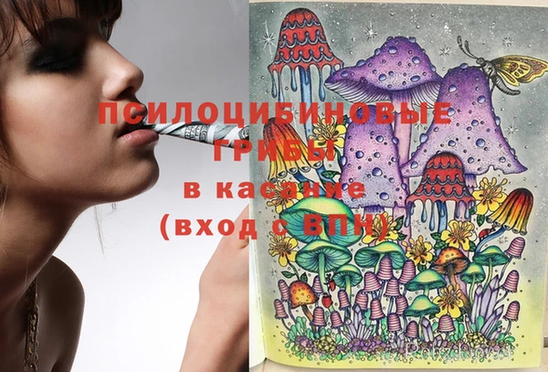 эйфоретик Белоозёрский