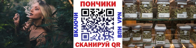 Конопля OG Kush Елизаветинская